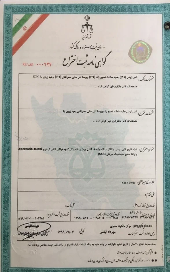 افتخارات امیر زارعی
